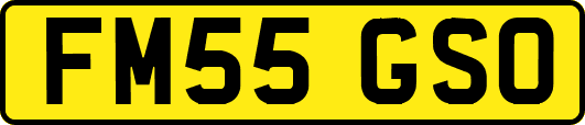 FM55GSO