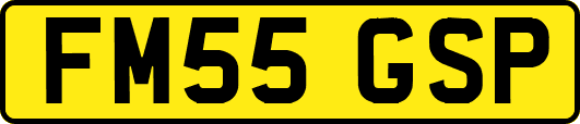 FM55GSP