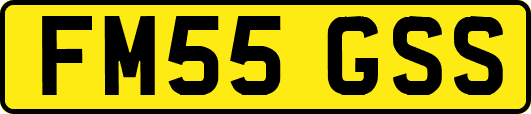 FM55GSS