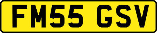 FM55GSV