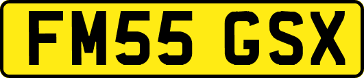 FM55GSX
