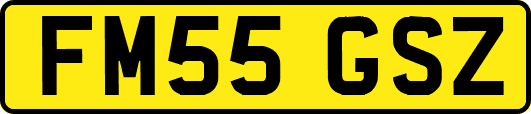 FM55GSZ