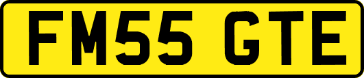 FM55GTE