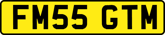 FM55GTM