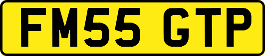 FM55GTP