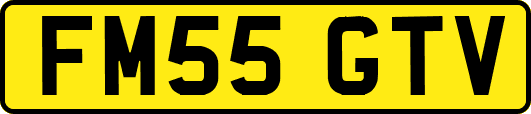 FM55GTV