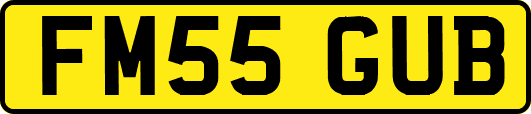 FM55GUB