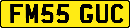 FM55GUC