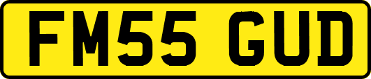 FM55GUD