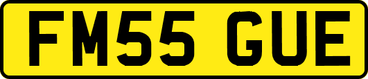 FM55GUE