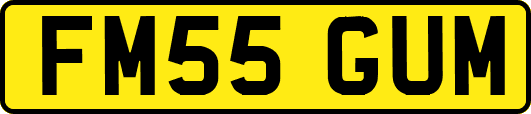 FM55GUM