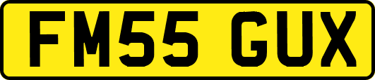 FM55GUX