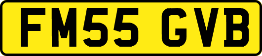 FM55GVB