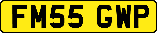 FM55GWP