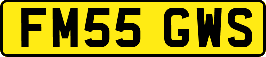 FM55GWS