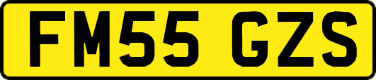 FM55GZS