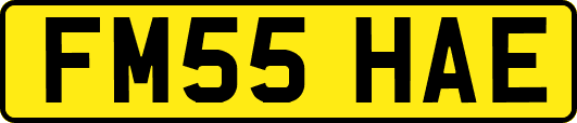 FM55HAE