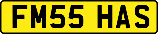 FM55HAS