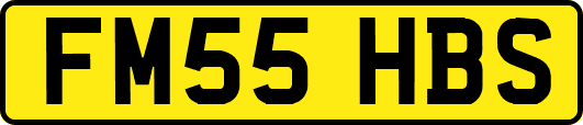 FM55HBS