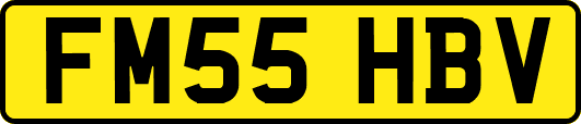 FM55HBV