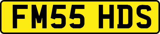 FM55HDS