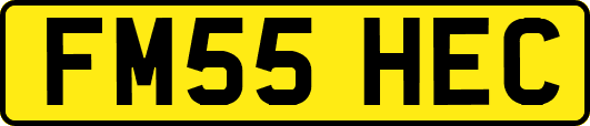 FM55HEC
