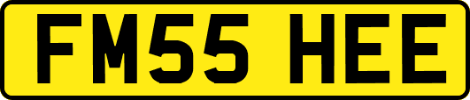 FM55HEE