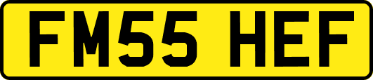 FM55HEF
