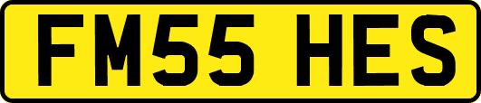 FM55HES