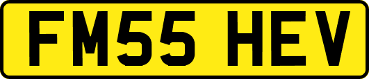 FM55HEV