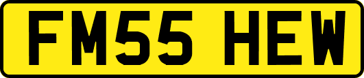 FM55HEW