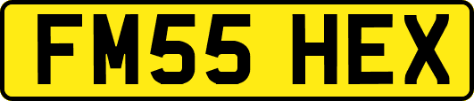 FM55HEX