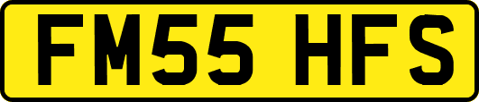 FM55HFS
