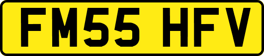 FM55HFV