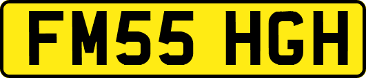 FM55HGH