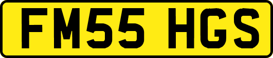 FM55HGS
