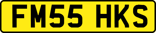 FM55HKS