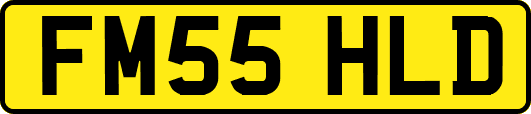 FM55HLD