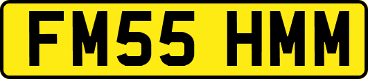 FM55HMM