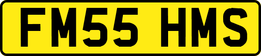 FM55HMS