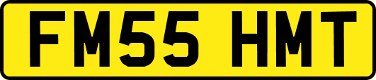 FM55HMT