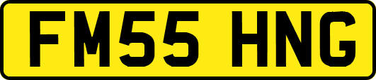 FM55HNG
