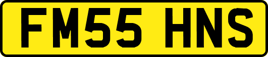 FM55HNS
