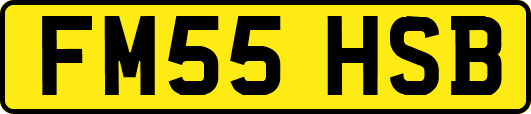 FM55HSB