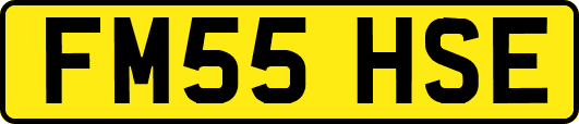 FM55HSE