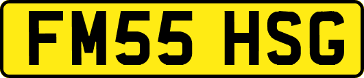 FM55HSG