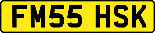 FM55HSK