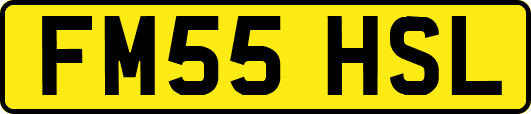 FM55HSL