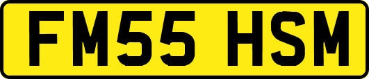 FM55HSM