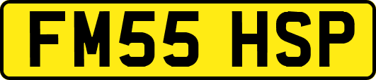 FM55HSP